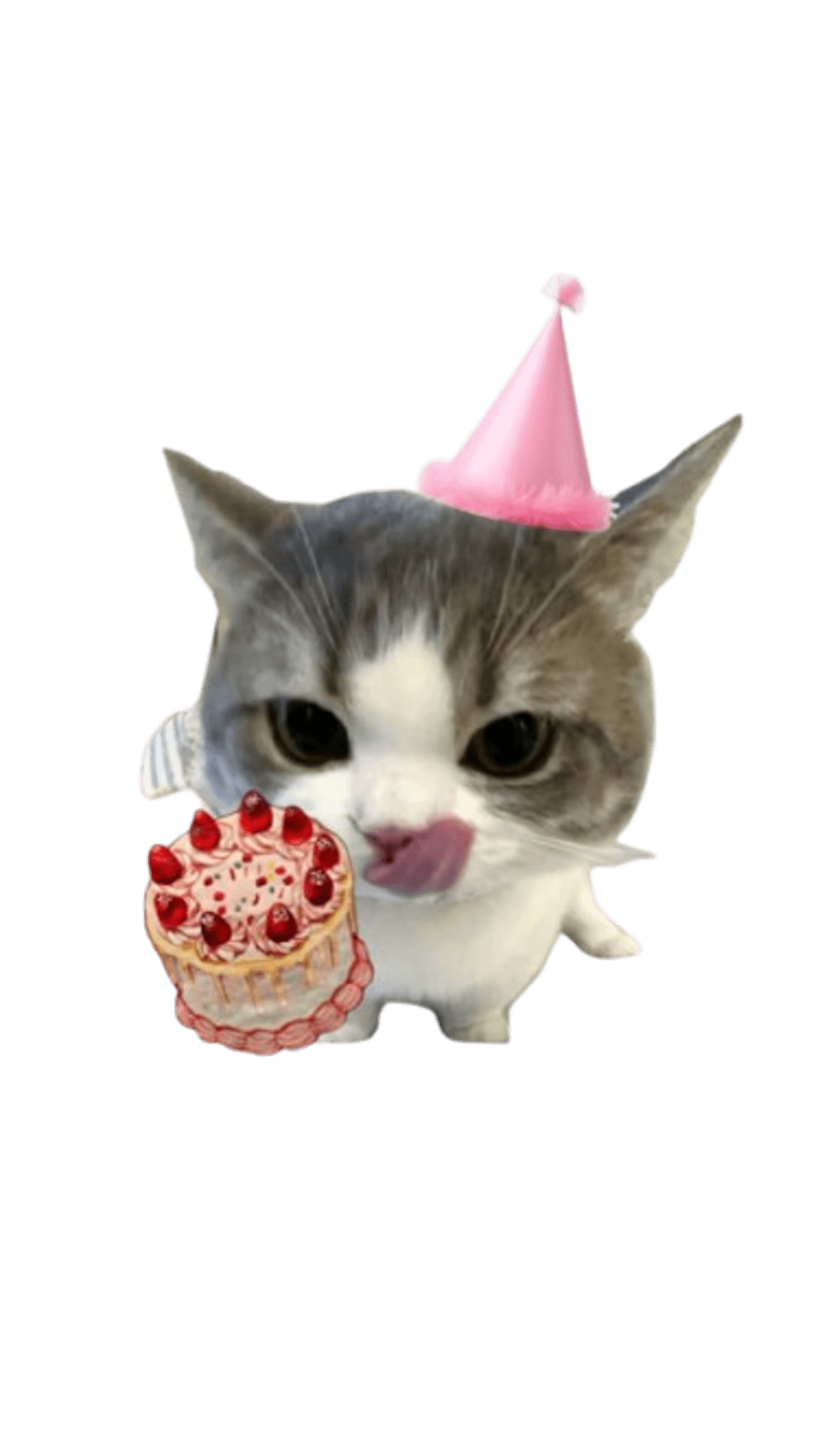 Cute Birthday template preview