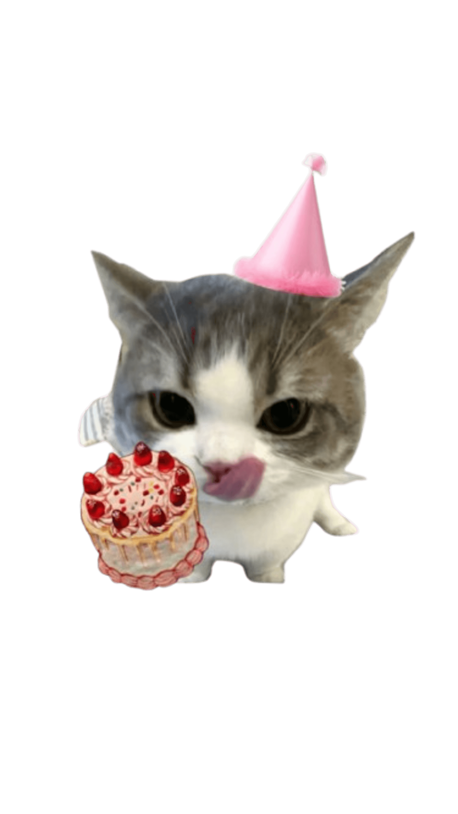 Cute Birthday preview